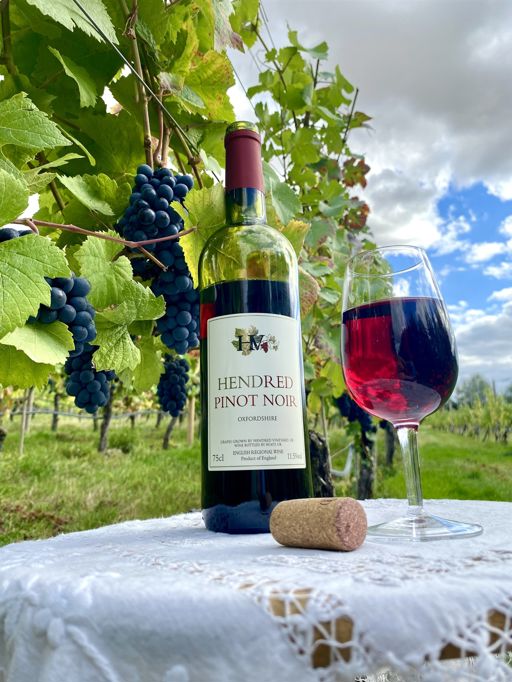 Hendred Pinot Noir