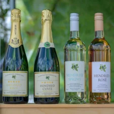 Hendred Vineyard